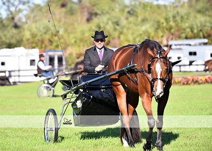 S/C 1 Results From Fox Lea Farm Winter Circuit