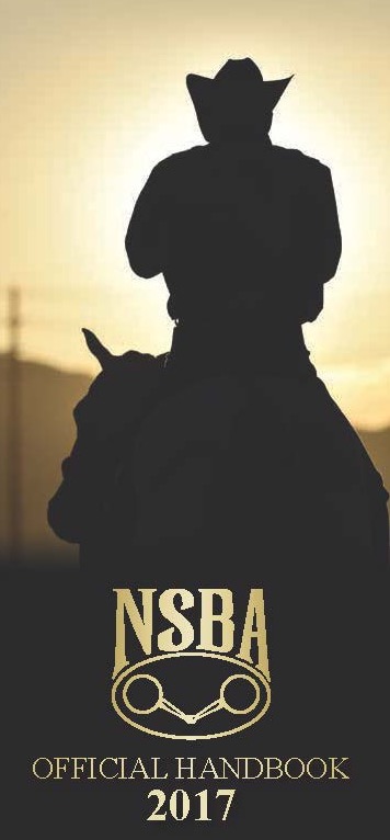 2017 NSBA Rulebook Now Online