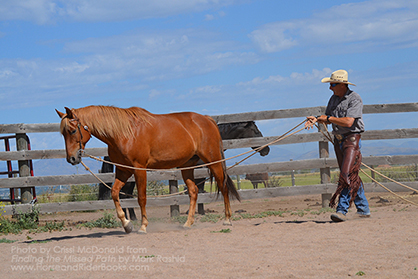 Can a Horse be “Restarted”?