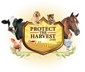 PTH.com_PrimaryLogo