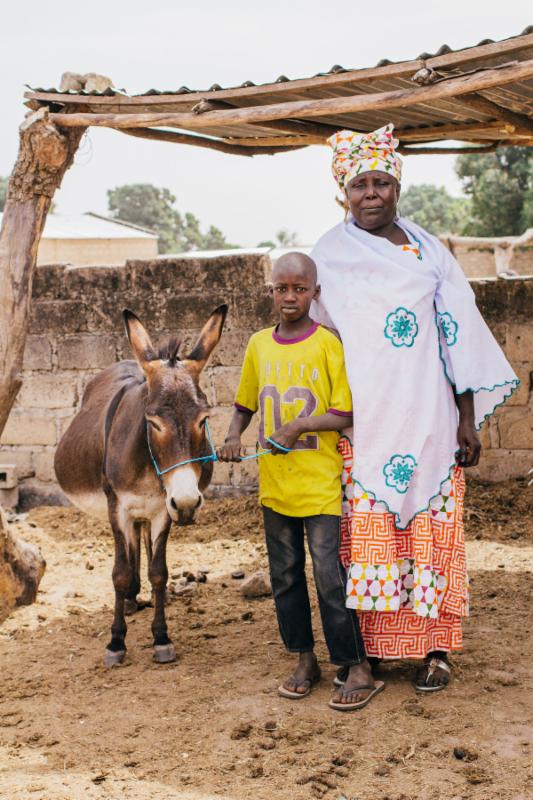 Absorbine Partners With Charity to Help Working Equines Around the World