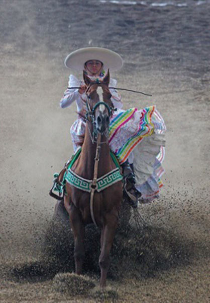 AQHA Hall of Fame & Museum Celebrates the Charro in New Exhibit