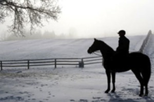 winter_horse