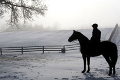 equestrians wintertime tips