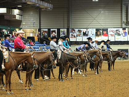 Have You Checked Out the AQHA Convention Committee Agendas?