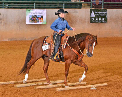 Around the Rings- 2017 Dixie Nationals QH Show