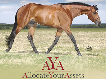 Allocate Your Assets – Behind the Stall Door