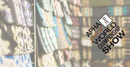 Ready to Do Some Shopping? APHA Youth World Vendor Area is Sold Out!