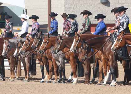 Largest Stall Count in AZ. Sun Circuit History On Tap For This Weekend!