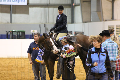 Payouts Announced For QH Congress Equine Chronicle Masters Hunter Under Saddle