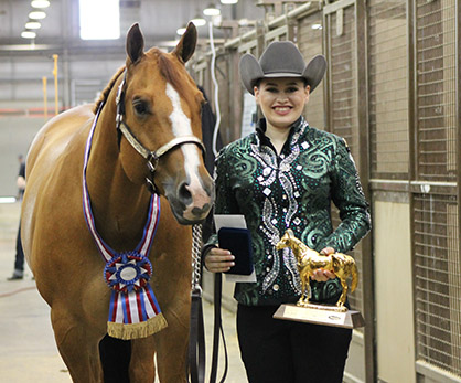 AQHA Level 1 Championship Forms Now Online