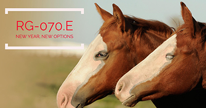 Take a Shot at Regular Registry With New APHA Registration Option