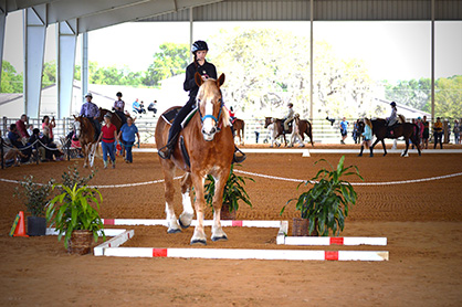 Special Olympics Florida Hosts State Equestrian Championship