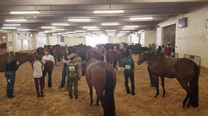 Youth Showmanship waiting for callbacks.