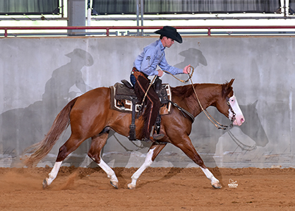 Due to 81% Entry Increase, AQHA Alters VRH World Show Schedule