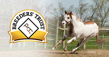 New For 2017, APHA Breeders’ Trust Fees Paid in Two Installments