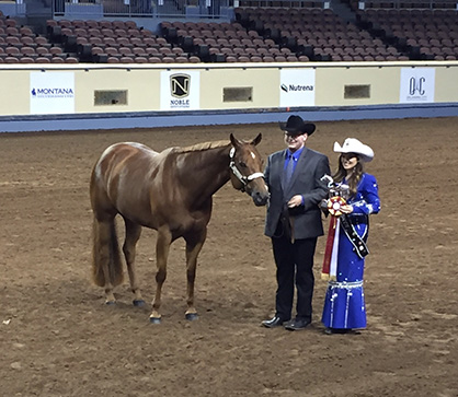 Blog #2- Live at AQHA L1 Championships OKC With Austin, Dailey, and Caroline