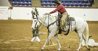 APHA Presents 2016 High Point Ranch Horse Awards