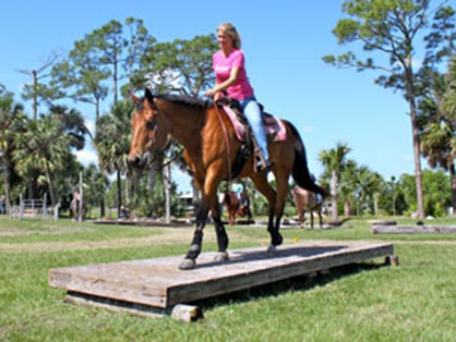 View 2017 Schedule of AQHA Trail Challenges