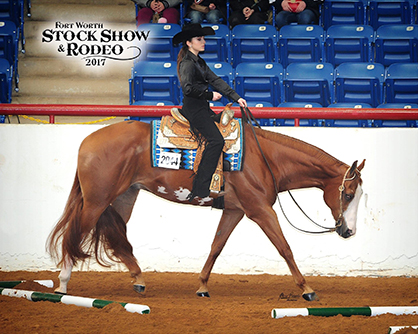 LIVE From the APHA Zone 2/Utah POR with Renee Conklin- Day 1 Blog