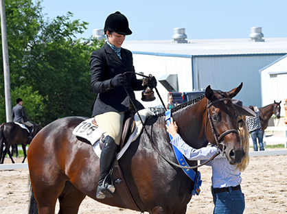 Inaugural Solid Gold Futurity Awards $60,000 to Big Winners