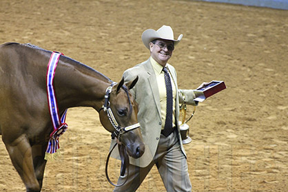 Exhibitors Not Eligible For L2 Competition at 2017 AQHA World Show