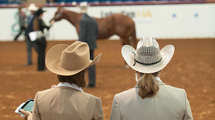 APHA Judges Selected to Officiate at NSBA World and QH Congress
