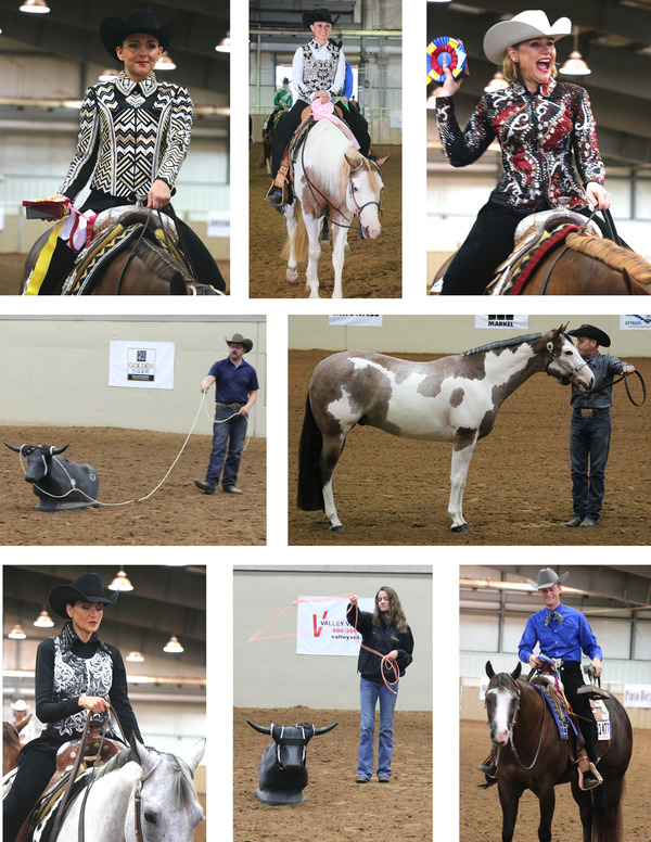 Day 11 Photos and Results 2017 Pinto World Show Equine Chronicle
