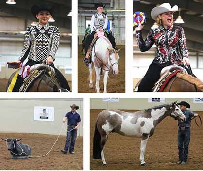 Day 11 Photos and Results- 2017 Pinto World Show