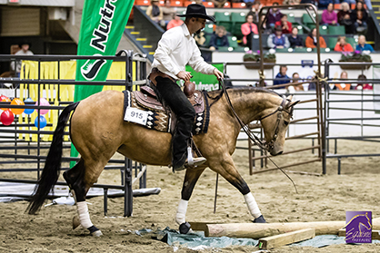 Test Your Horsemanship and Win Cash at Equine Affaire’s Versatile Horse and Rider Competition
