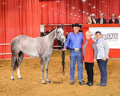 Entries Now Being Accepted for 2017 Quarter Horse Congress Super Sale