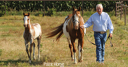 APHA Breeder and Past President, Gregg Reisinger, Receives National Award