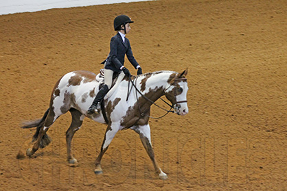 Over Fences Day Recap From 2017 AjPHA Youth World Show