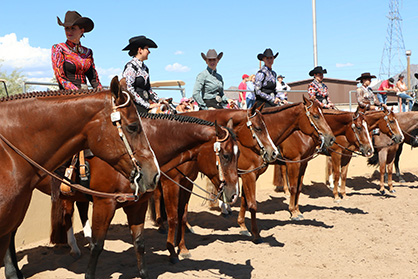 Everything You Need to Know About the Arizona Fall Championship!