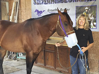 Coughs & Causes – Why is My Horse Coughing?