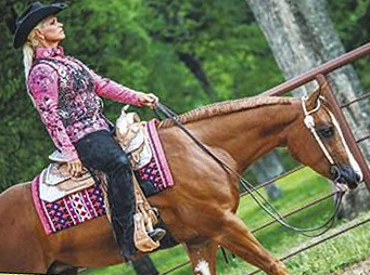 Dealing with Quirky Horses