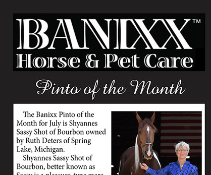 Banixx Pinto of the Month
