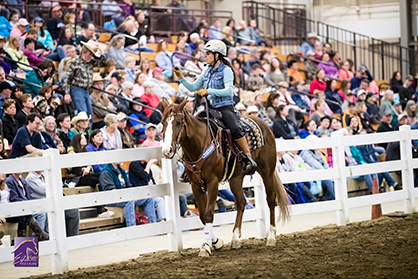 Hone Your Horsemanship Skills at Equine Affaire 2020