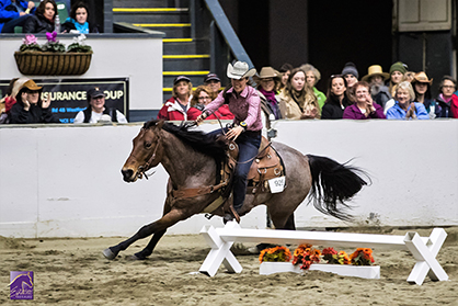 Hundreds of Clinics, Shopping, Entertainment at 56th Equine Affaire – November 9-12