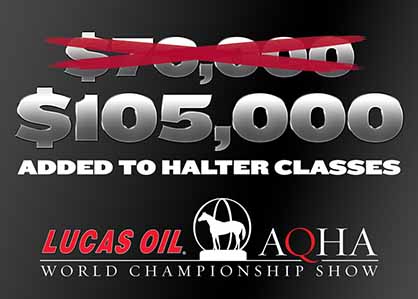 $105,000 Added to Halter Classes at AQHA Open/Amateur World Show