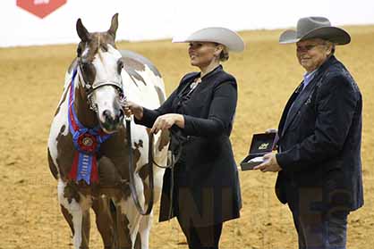 More Than $300,000 On Tap for Halter Exhibitors at 2017 APHA World Show