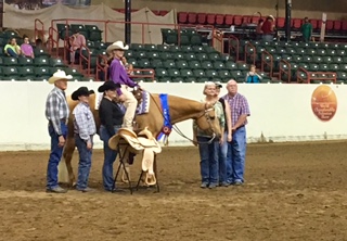 EC Photo of the Day: Golden Boy With the Golden Horse