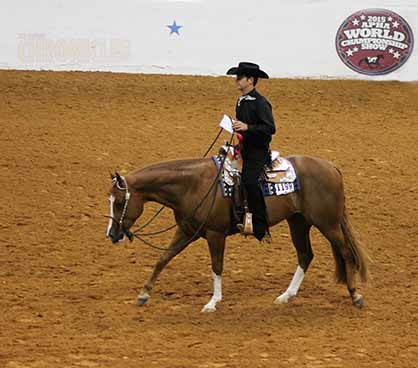 Prayers For Trainer Ryan Painter Following Horse Accident