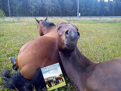 EC Photo of the Day: EC Goes to Sweden!