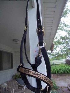 Valley Vet Halters