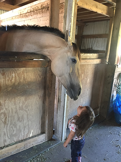 EC Photo of the Day: Horse Kisses