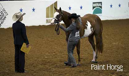 HorseIQ Invites Youth and Collegiate Judging Teams to 2017 APHA World Championship Judging Contest