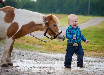 My First Pony