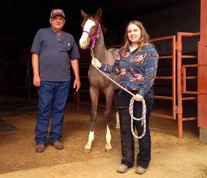 Youth Can Earn Scholarships by Raising a Weanling in AQHA Young Horse Development Program