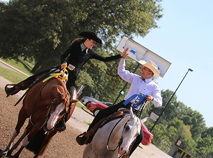 Results From 2017 Illinois Paint Horse Show and State Fair